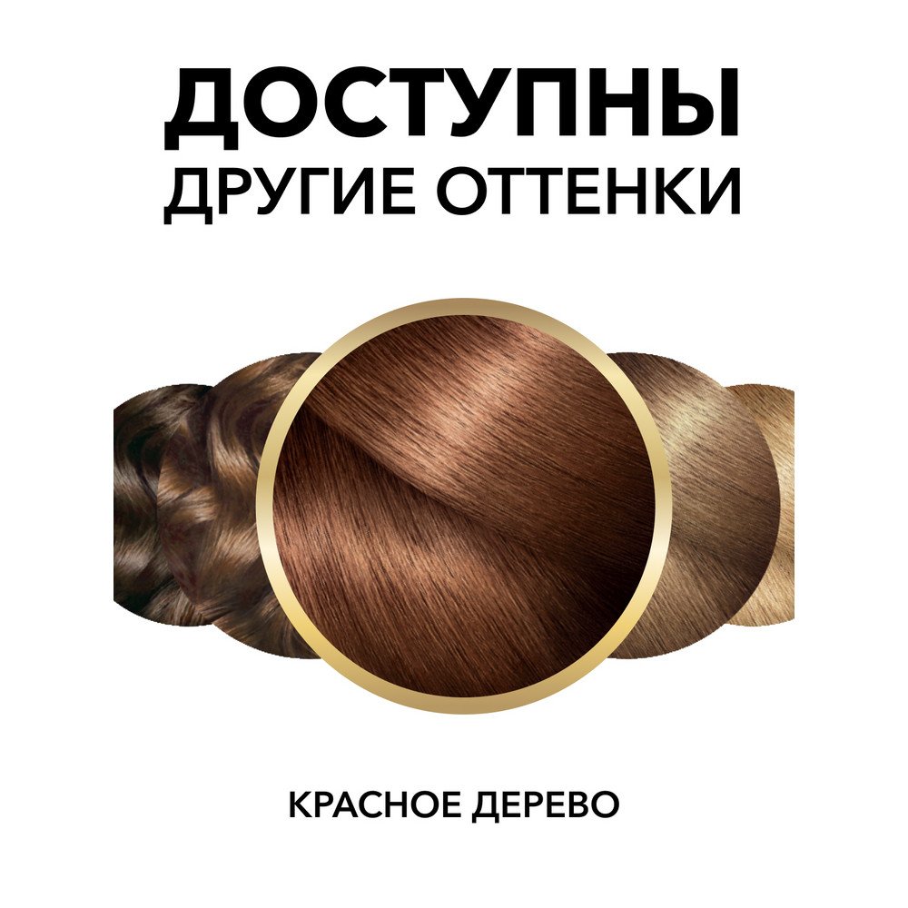3600523337538 10
